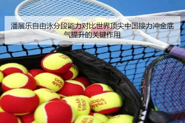 潘展乐自由泳分段能力对比世界顶尖中国接力冲金底气提升的关键作用